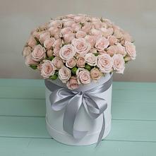 Цветочная композиция из Розы в шляпной коробке #REPLACE_PRED# Марков Лес