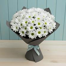 Букет цветов из:  Хризантемы #REPLACE_PRED# Марков Лес