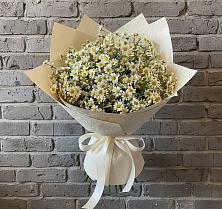 Букет цветов из:  Ромашки в Марков Лес