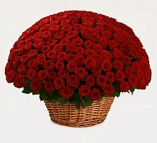 Премиум букет из: Розы в Марков Лес